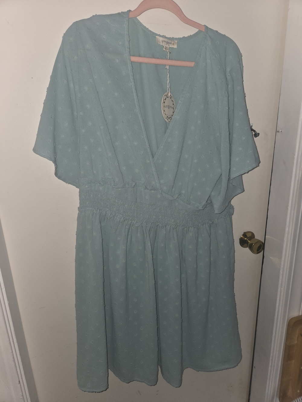 NWT Umgee Seafoam Green Flutter Sleeve Smocked Waist Mini Dress
